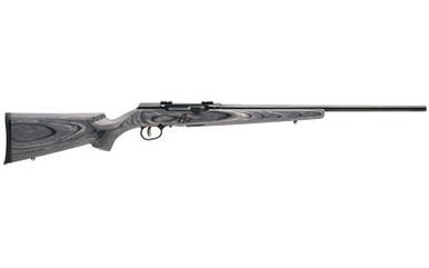 SAVAGE, SAVAGE A17 TARGET 17HMR 22 10RD BL/LAM, 17 HMR
