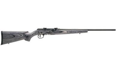 SAVAGE, SAVAGE A17 SPORTER 17HMR 22 10RD LAM, 17 HMR