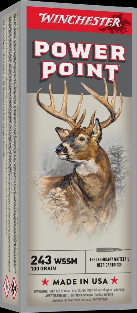 WINCHESTER SPR-X 243WSSM 100GR PP