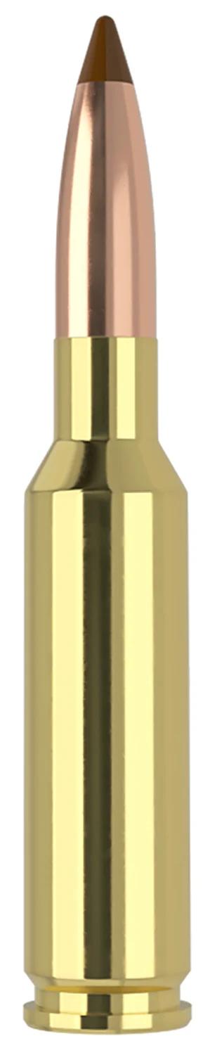 Nosler 61053   6.5x55Swedish 140gr Ballistic Tip 20 Per Box/10 Case