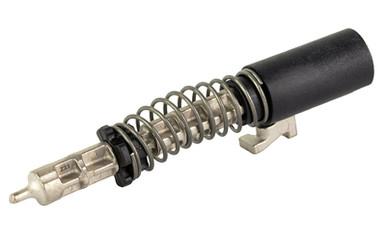 SIG P365 SLIDE COMPLETION KIT