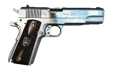 AMERICAN PRECISION FIREARMS 1911 2ND CNTRY 45ACP 5 14RD SS