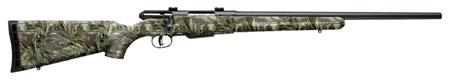 SAVAGE 25 WALKING VARMINTER 17 HORNET 19978